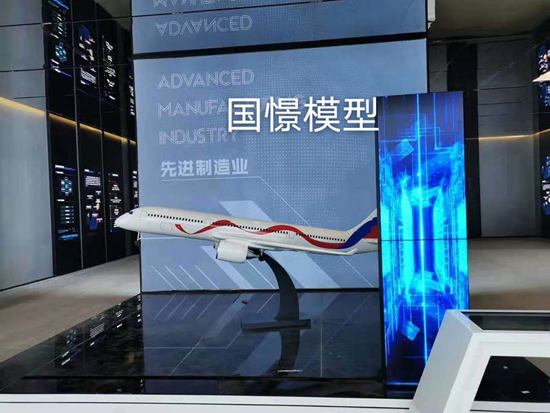 乾县飞机模型