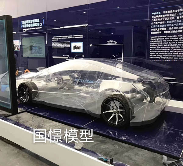 乾县透明车模型